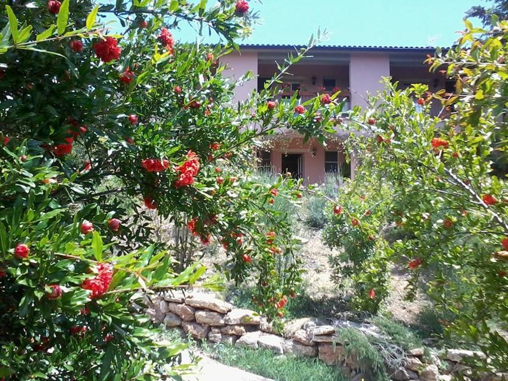 Il Melograno Country House Saturnia Kültér fotó