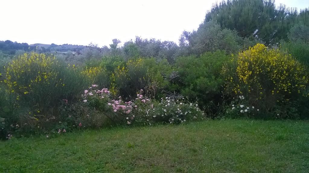 Il Melograno Country House Saturnia Kültér fotó